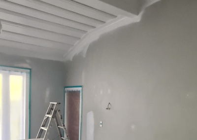 Morningside Auckland D&A Painters 2021 interior exterior painting